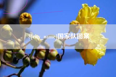 迁西国家队图案