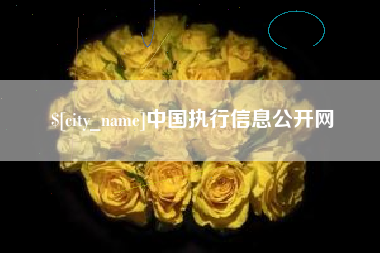 迁西中国执行信息公开网