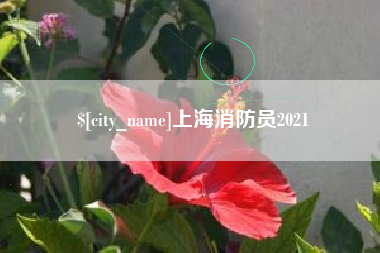 迁西上海消防员2021