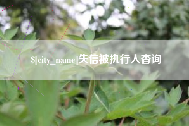 迁西失信被执行人杳询