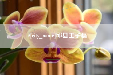 迁西邱县王子磊