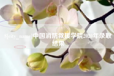 迁西中国消防救援学院2020年录取结果