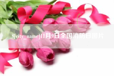 迁西11月9日全国消防日图片