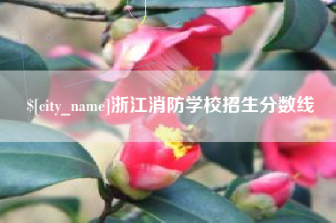 迁西浙江消防学校招生分数线