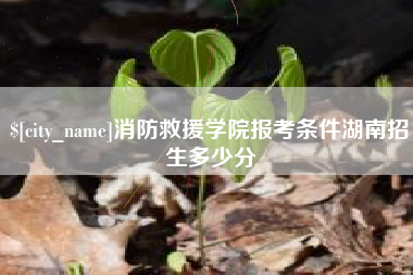 迁西消防救援学院报考条件湖南招生多少分