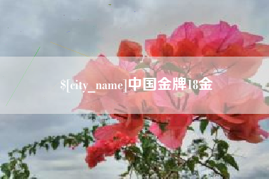 迁西中国金牌18金