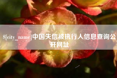 迁西中国失信被执行人信息查询公开网址