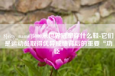 迁西5000米世界冠军穿什么鞋-它们是运动员取得优异成绩背后的重要“功臣”