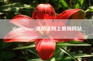 迁西消防证网上查询网站