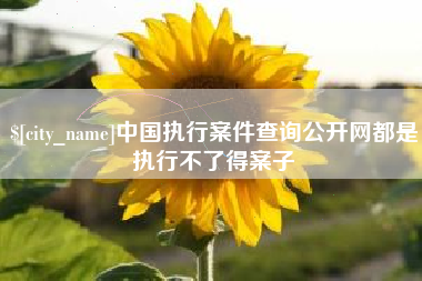 迁西中国执行案件查询公开网都是执行不了得案子