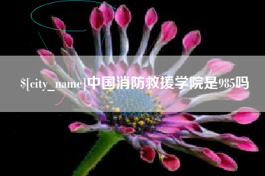 迁西中国消防救援学院是985吗