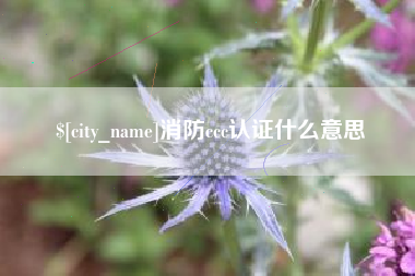 迁西消防ccc认证什么意思