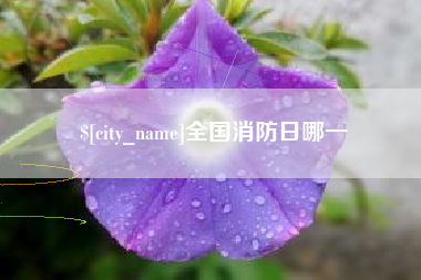 迁西全国消防日哪一