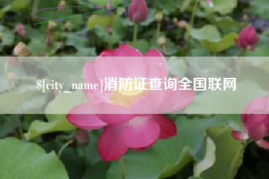 迁西消防证查询全国联网
