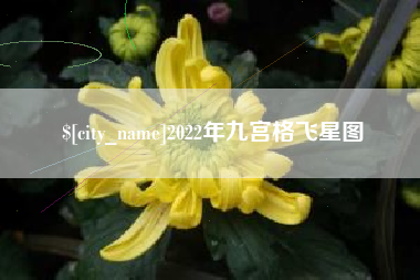 迁西2022年九宫格飞星图
