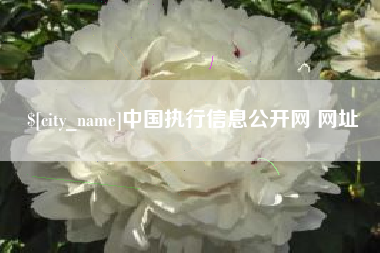 迁西中国执行信息公开网 网址