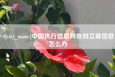 迁西中国执行信息网查到立案信息怎么办