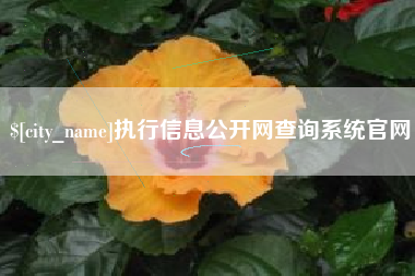 迁西执行信息公开网查询系统官网