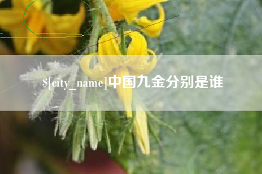 迁西中国九金分别是谁
