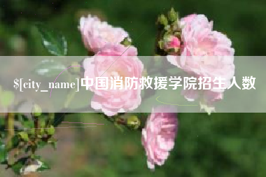 迁西中国消防救援学院招生人数