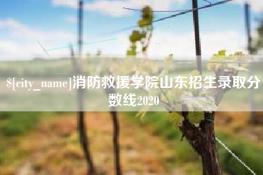 迁西消防救援学院山东招生录取分数线2020