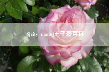 迁西王子豪百科