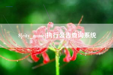 迁西执行公告查询系统