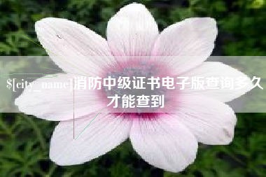 迁西消防中级证书电子版查询多久才能查到