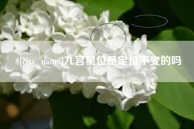 迁西九宫星位是定位不变的吗
