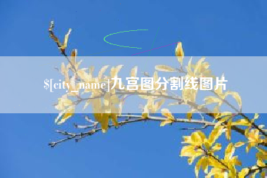 迁西九宫图分割线图片