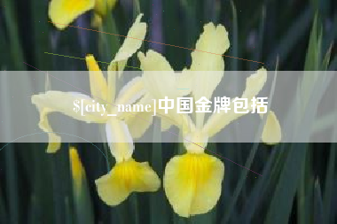 迁西中国金牌包括