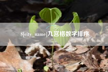 迁西九宫格数字排序