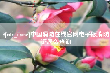 迁西中国消防在线官网电子版消防证怎么查询