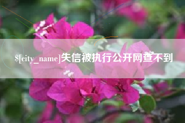 迁西失信被执行公开网查不到