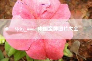 迁西中国金牌图片大全