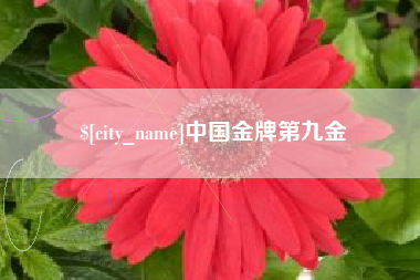 迁西中国金牌第九金