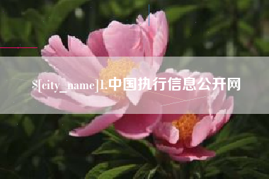 迁西1.中国执行信息公开网