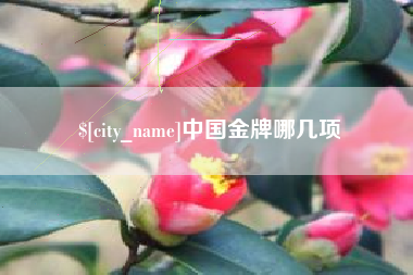 迁西中国金牌哪几项