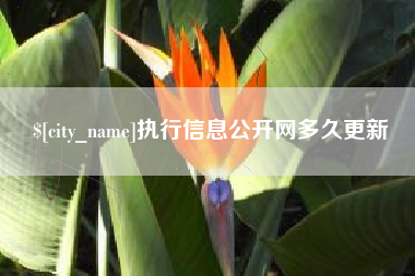 迁西执行信息公开网多久更新