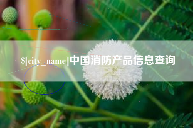 迁西中国消防产品信息查询