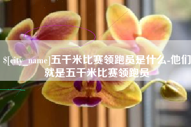 迁西五千米比赛领跑员是什么-他们就是五千米比赛领跑员