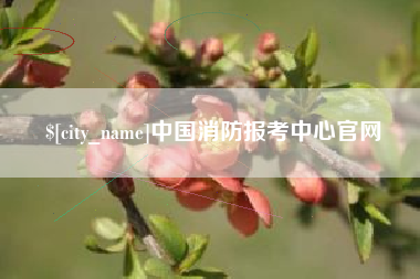 迁西中国消防报考中心官网