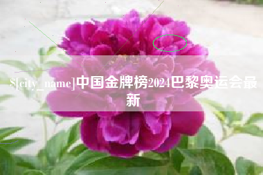迁西中国金牌榜2024巴黎奥运会最新