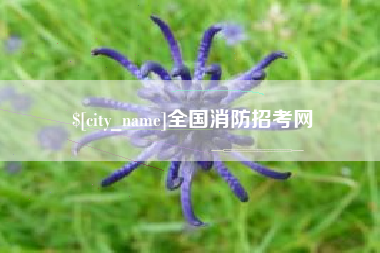 迁西全国消防招考网