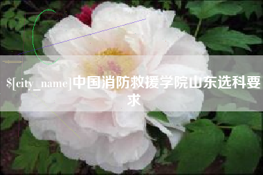 迁西中国消防救援学院山东选科要求