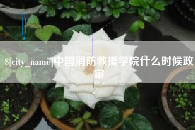 迁西中国消防救援学院什么时候政审