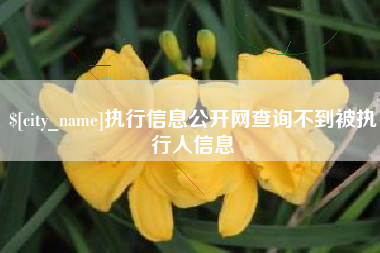 迁西执行信息公开网查询不到被执行人信息