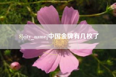 迁西中国金牌有几枚了