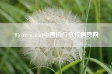 迁西中国执行执行信息网