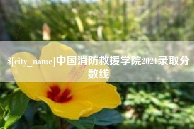 迁西中国消防救援学院2021录取分数线